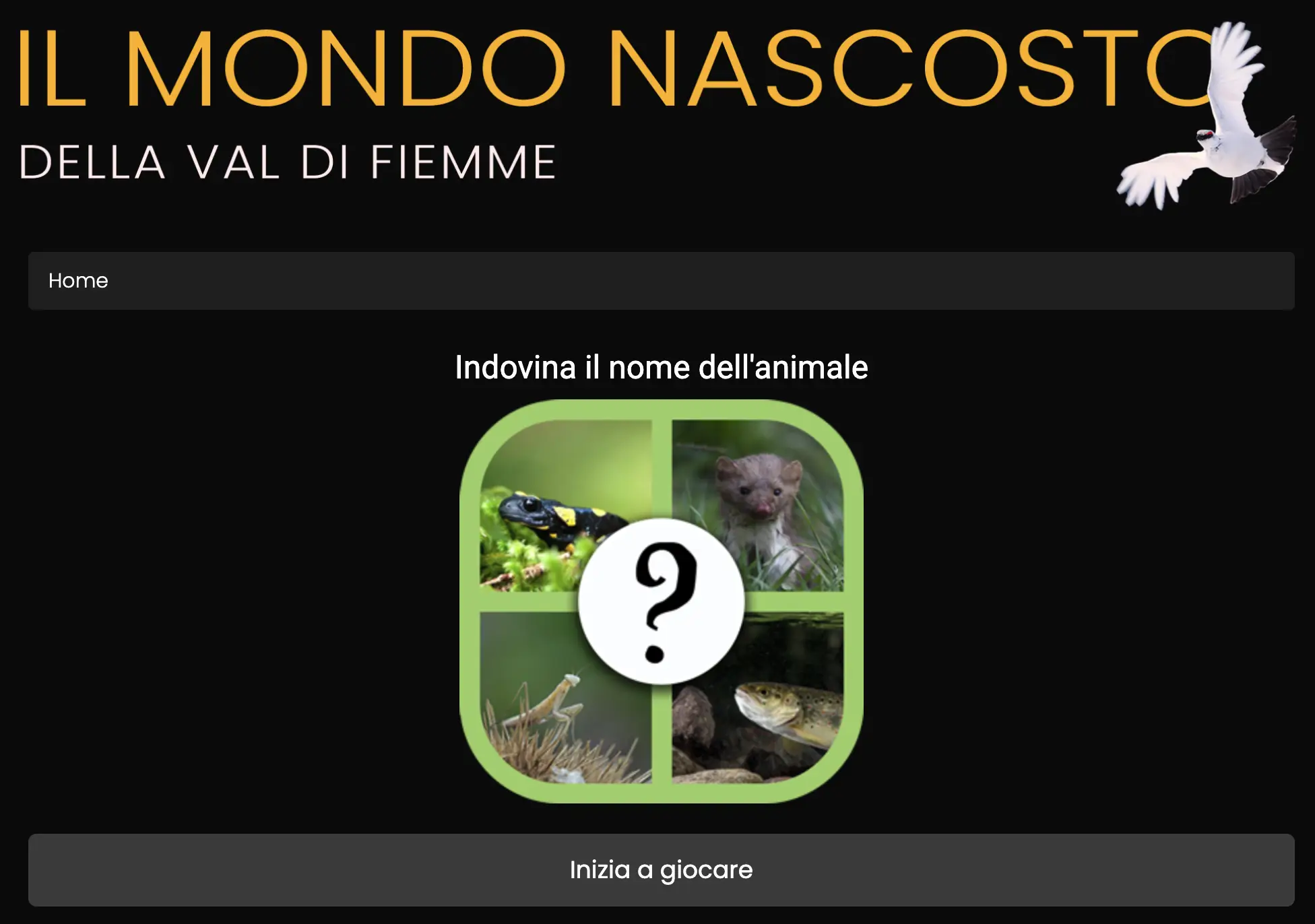 Mondo Nascosto Quiz
