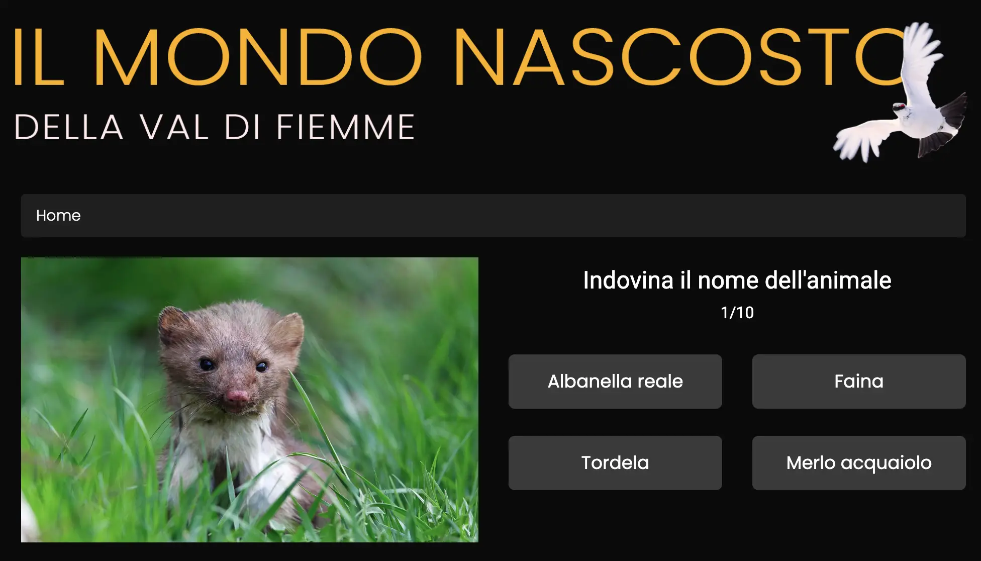 Mondo Nascosto Quiz