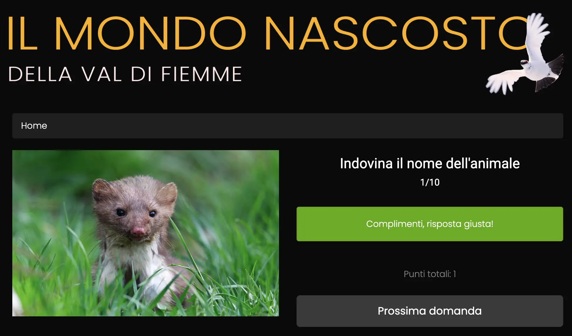 Immagine del progetto 3