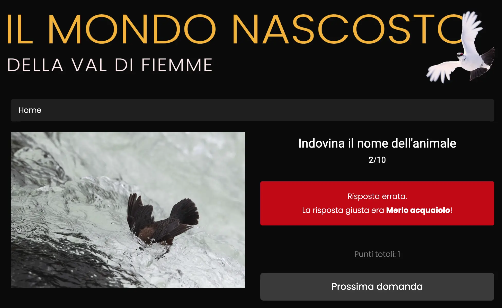 Immagine del progetto 4