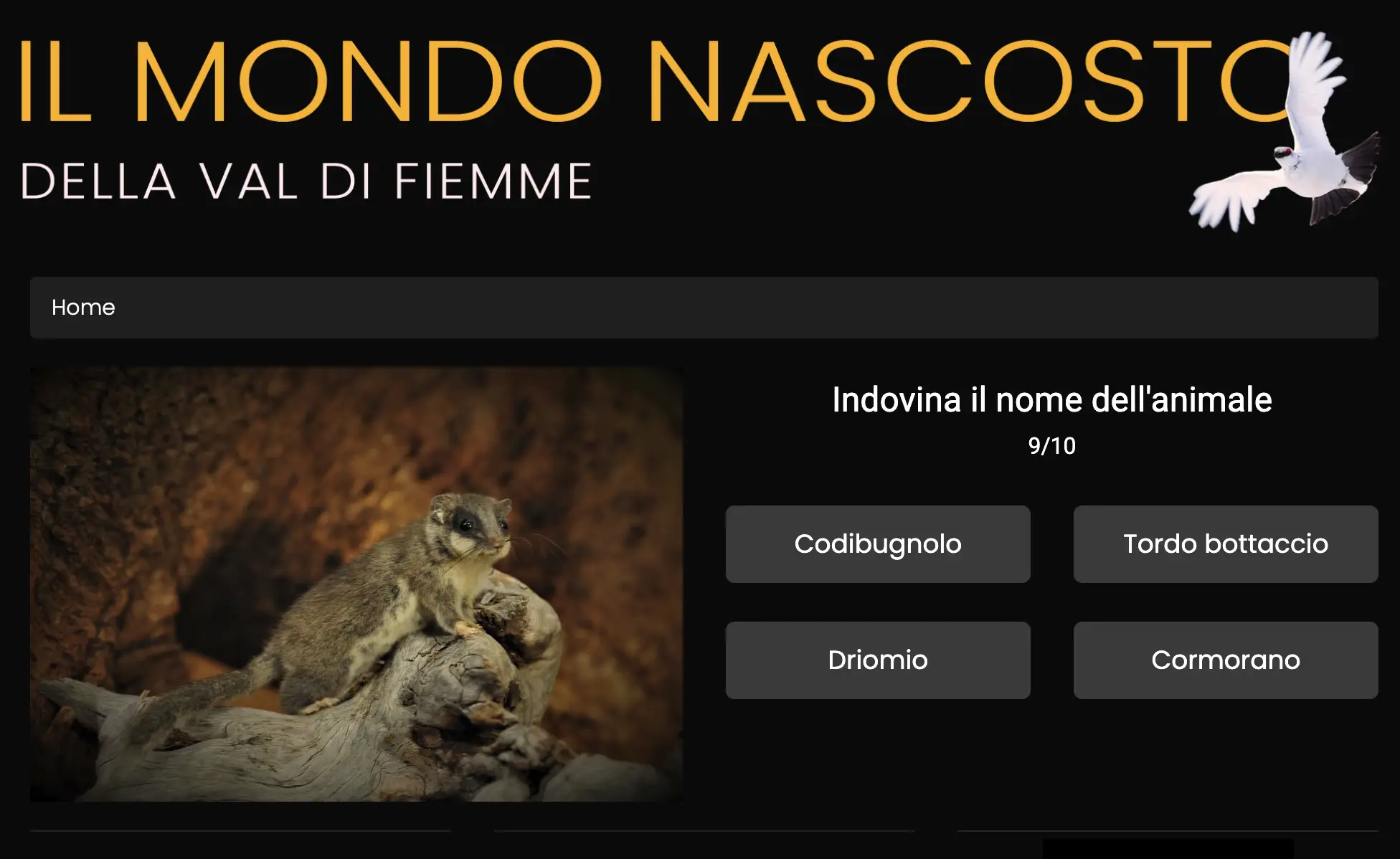 Immagine del progetto 5