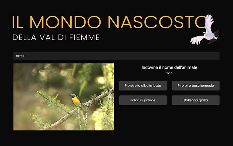 Mondo Nascosto Quiz