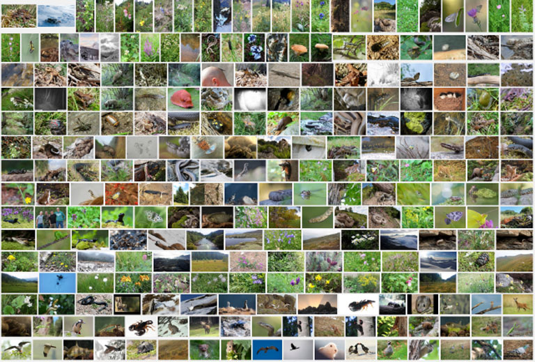 Oltre 3000 foto!
