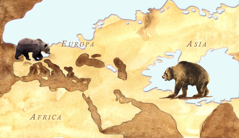 Esplora le origini della fauna alpina