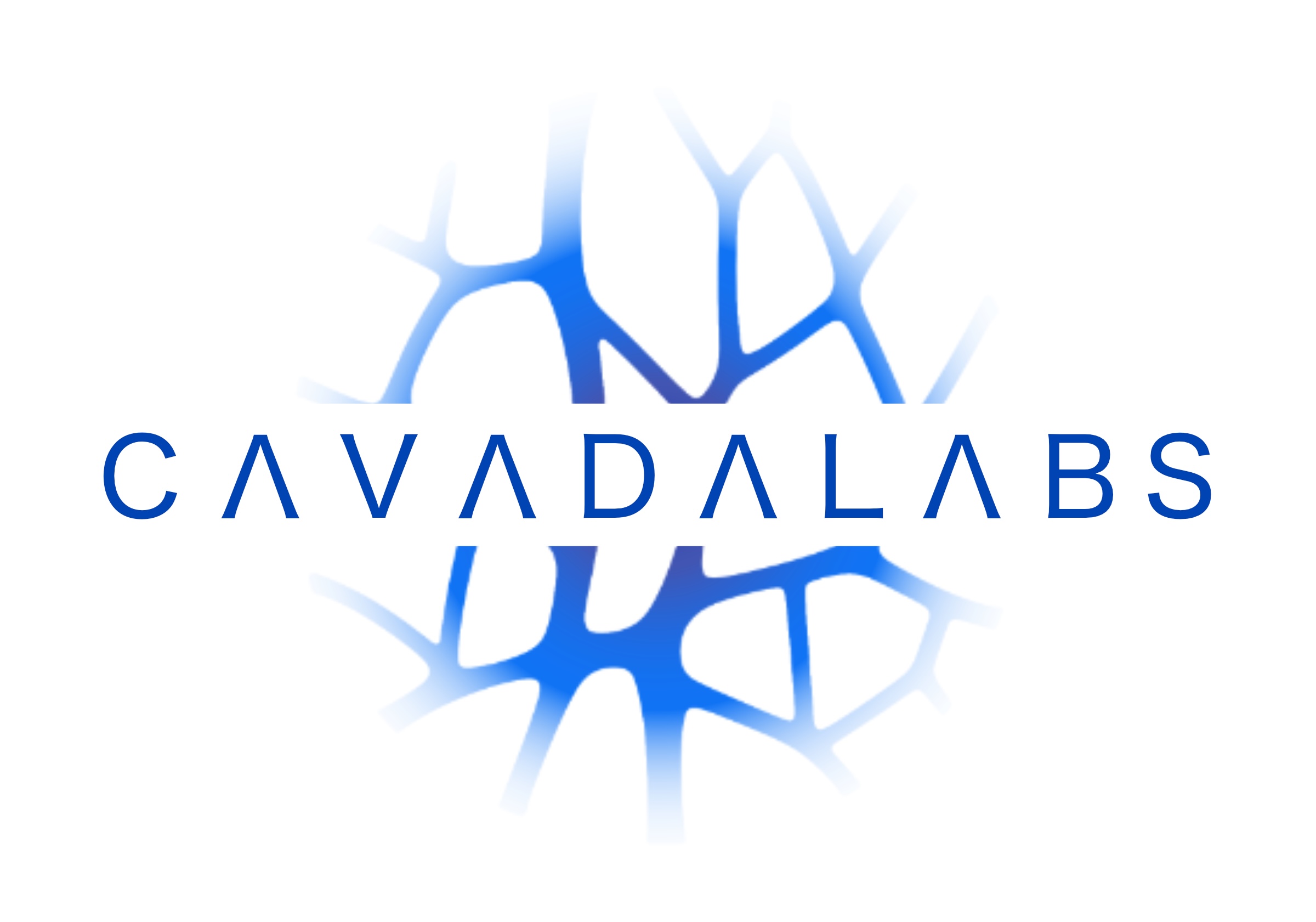 Logo wellness