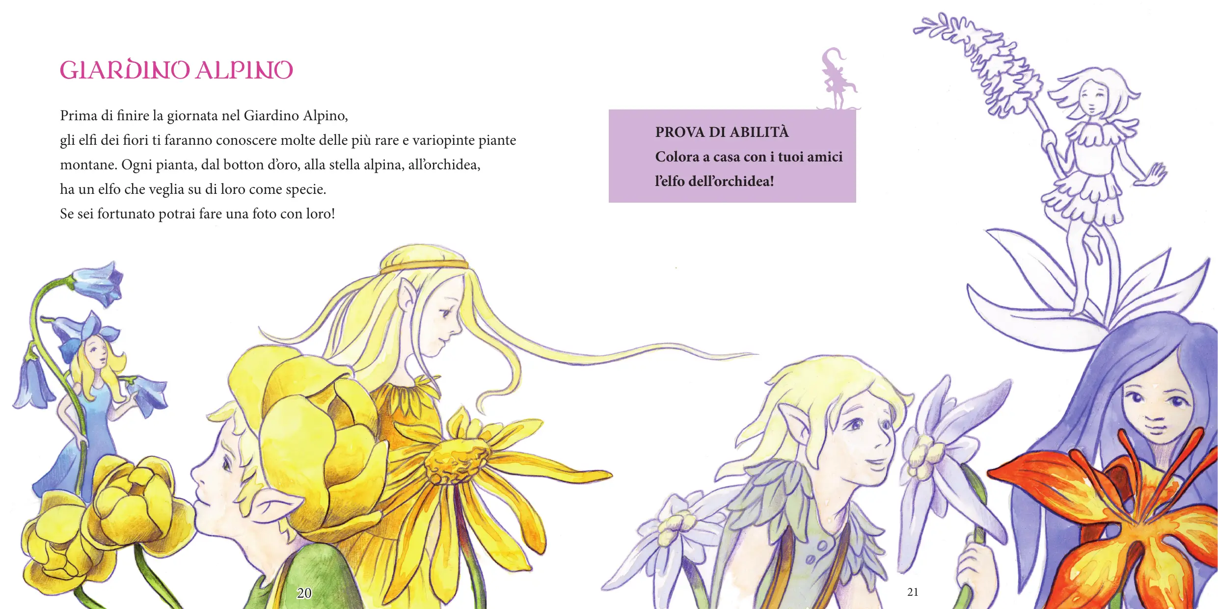 buffaure-11