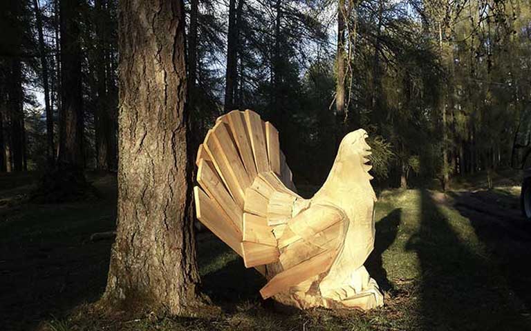 Il Bosco Nascosto