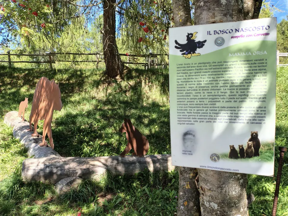 bosco-nascosto-08
