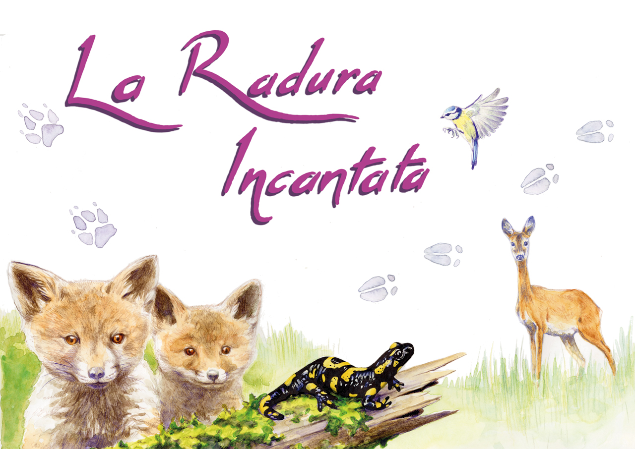La Radura Incantata 