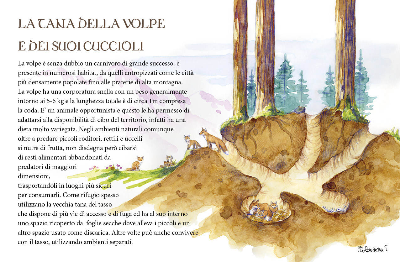 Immagine del progetto