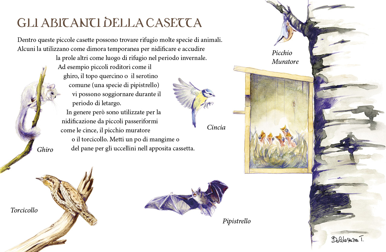 Immagine del progetto