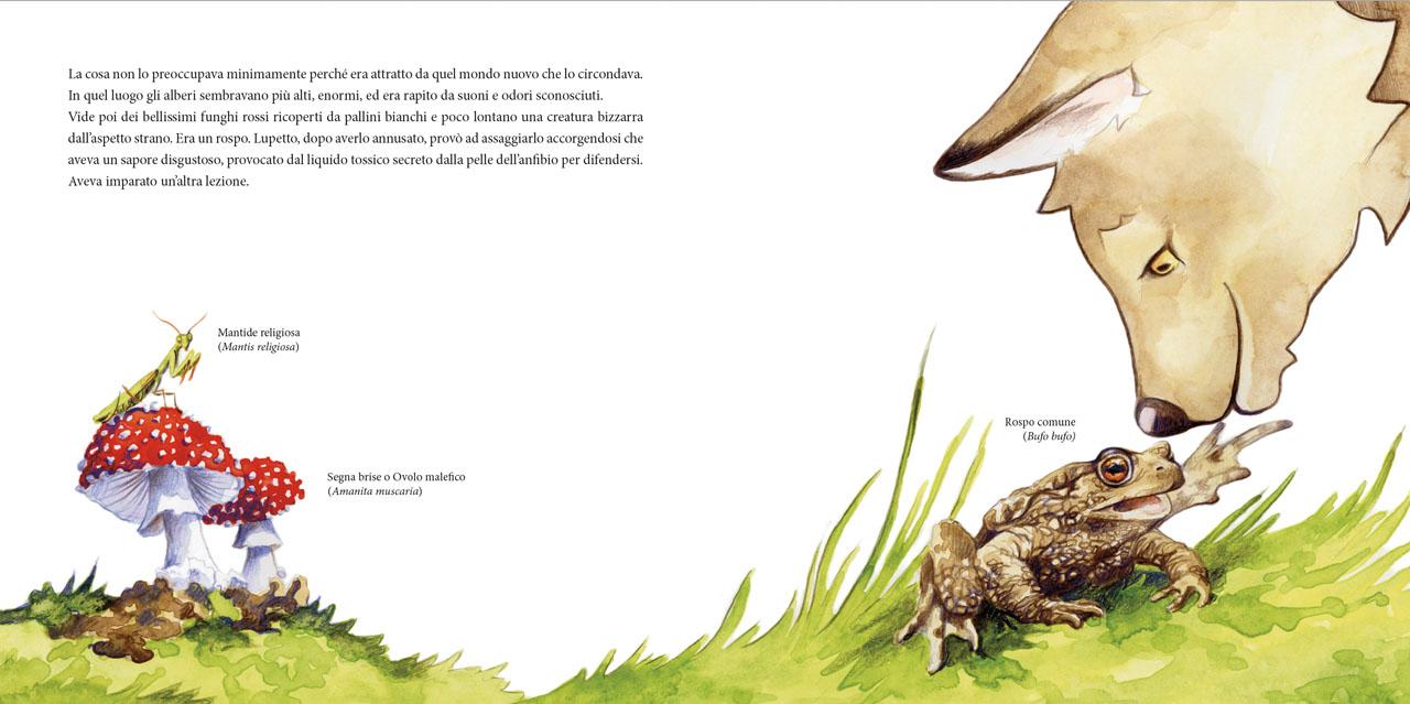 Immagine del progetto