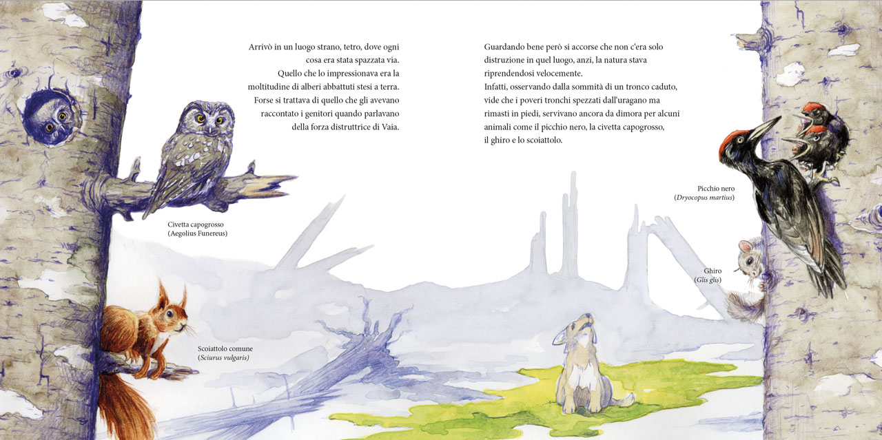 Immagine del progetto