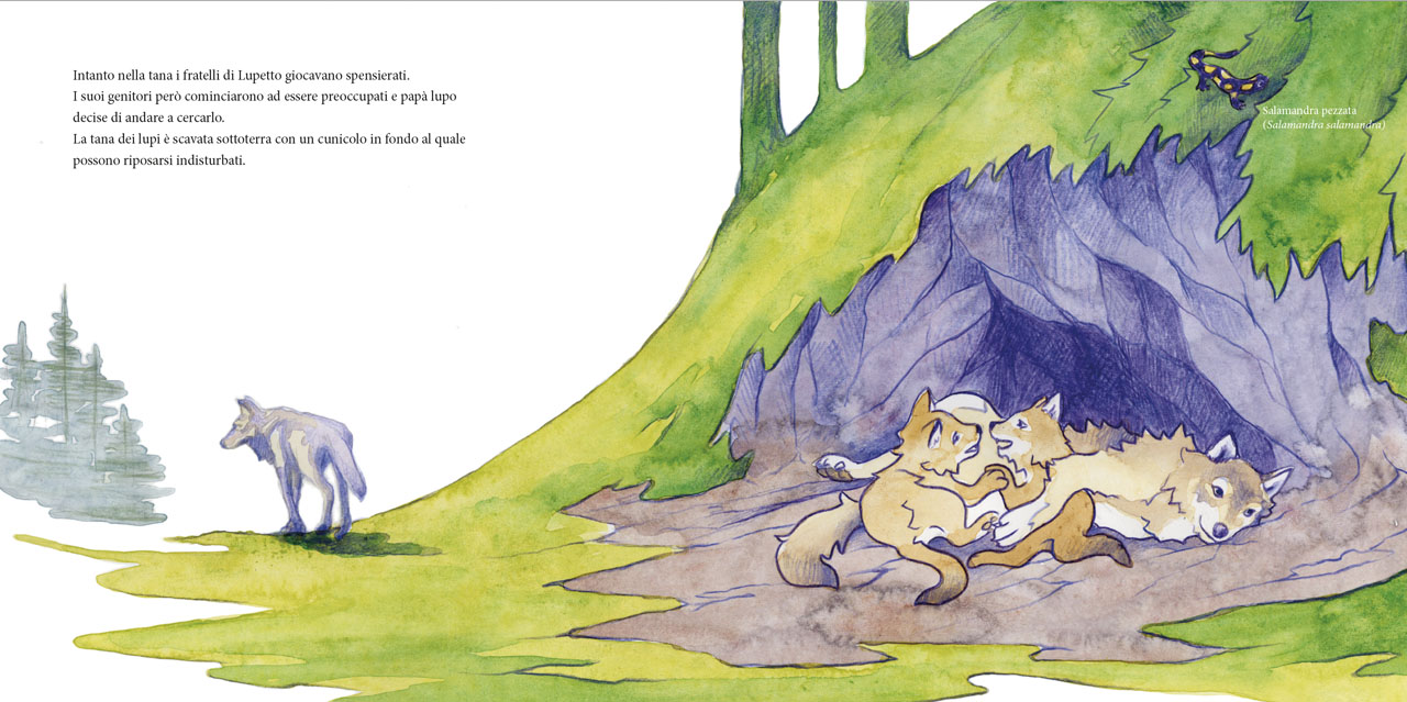 Immagine del progetto