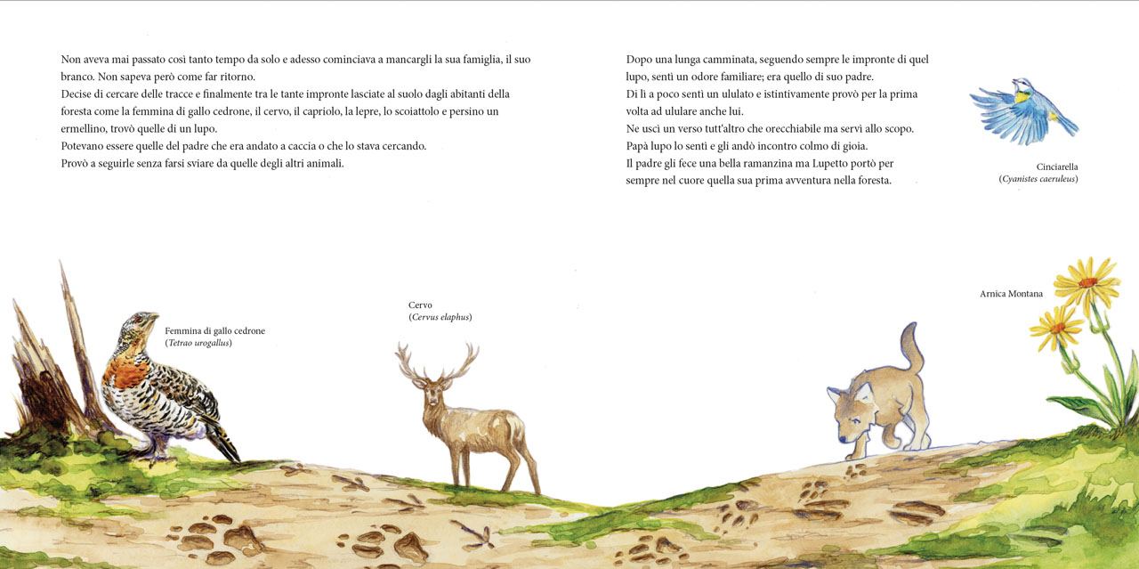 Immagine del progetto