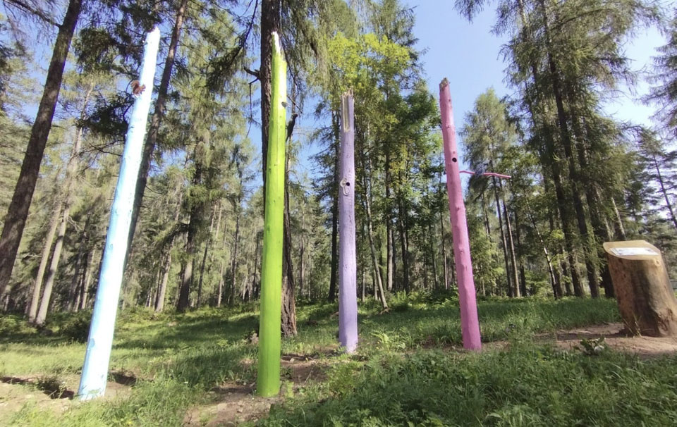 Lupetto si avventura nella Foresta 