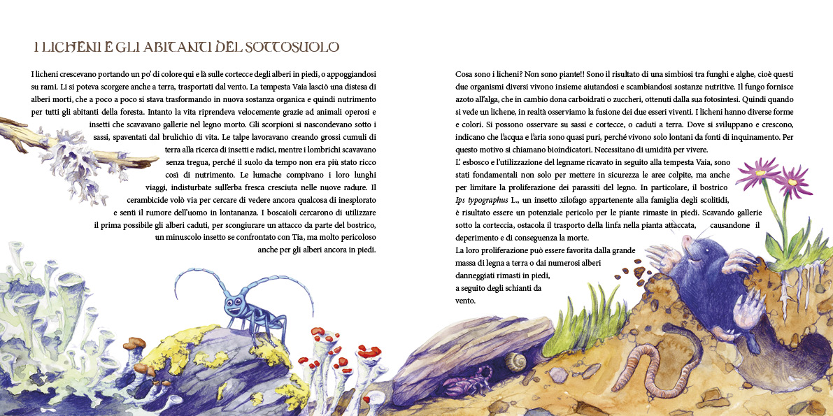 Immagine del progetto