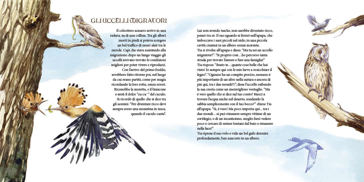 Immagine del progetto