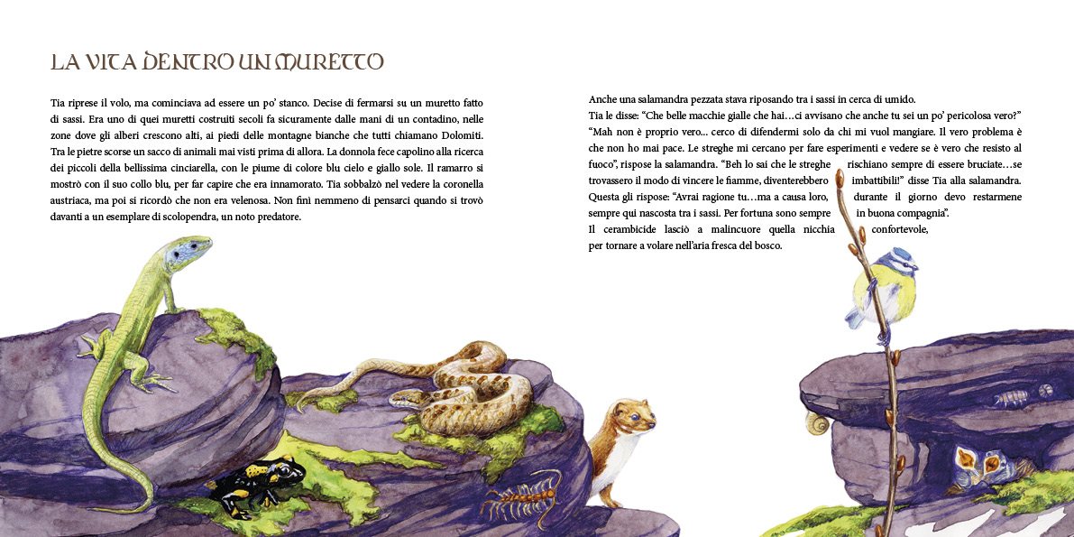 Immagine del progetto