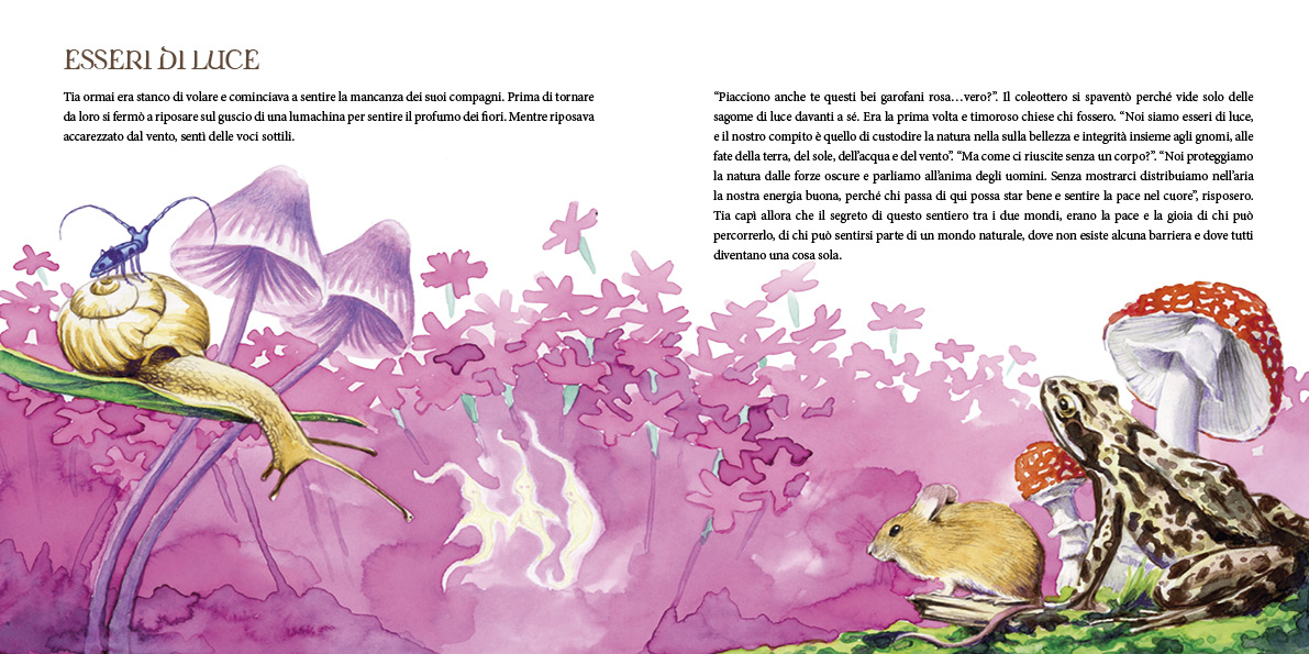 Immagine del progetto