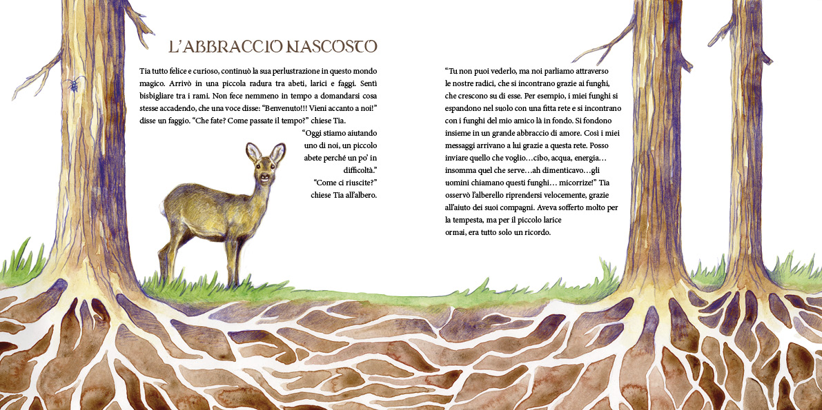Immagine del progetto