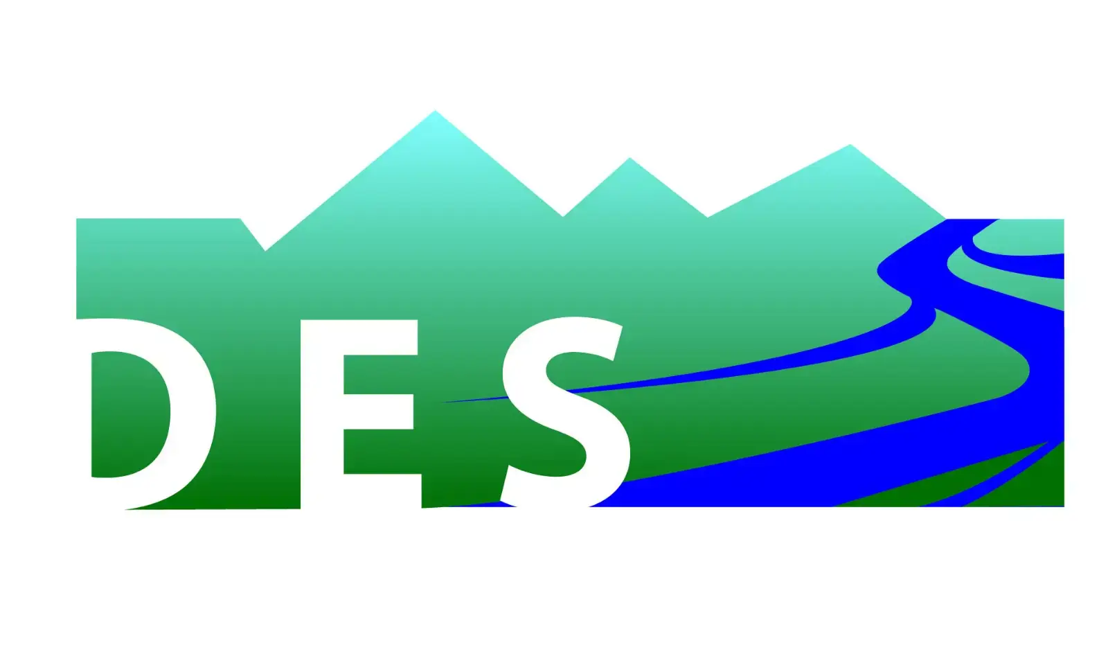 Logo DES