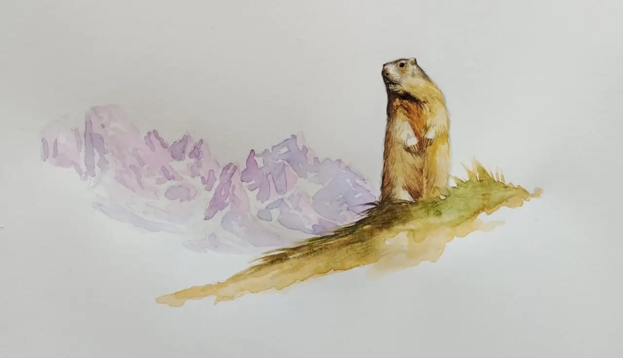 Mascotte marmotta